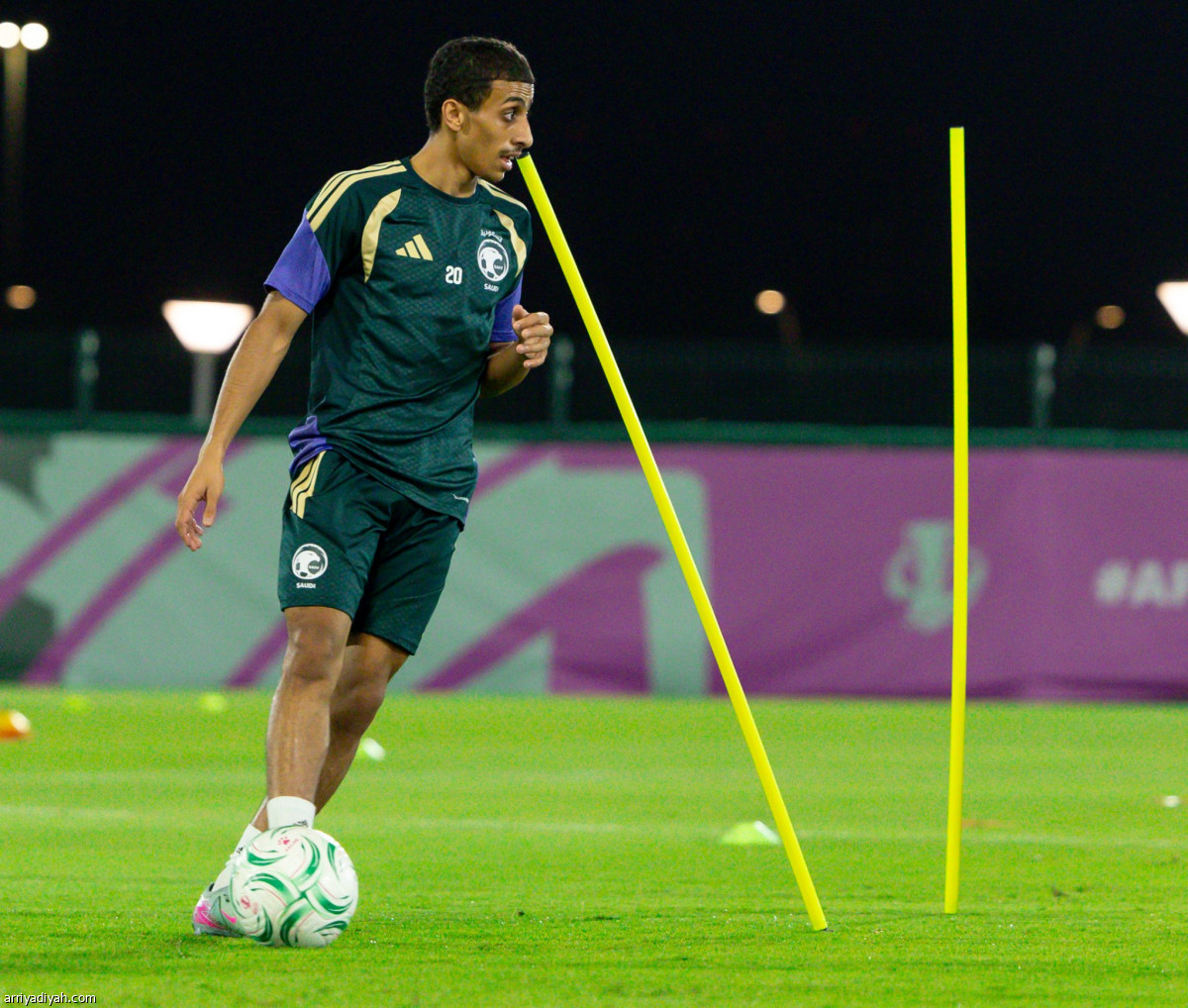 الصقور.. عودة التحضيرات