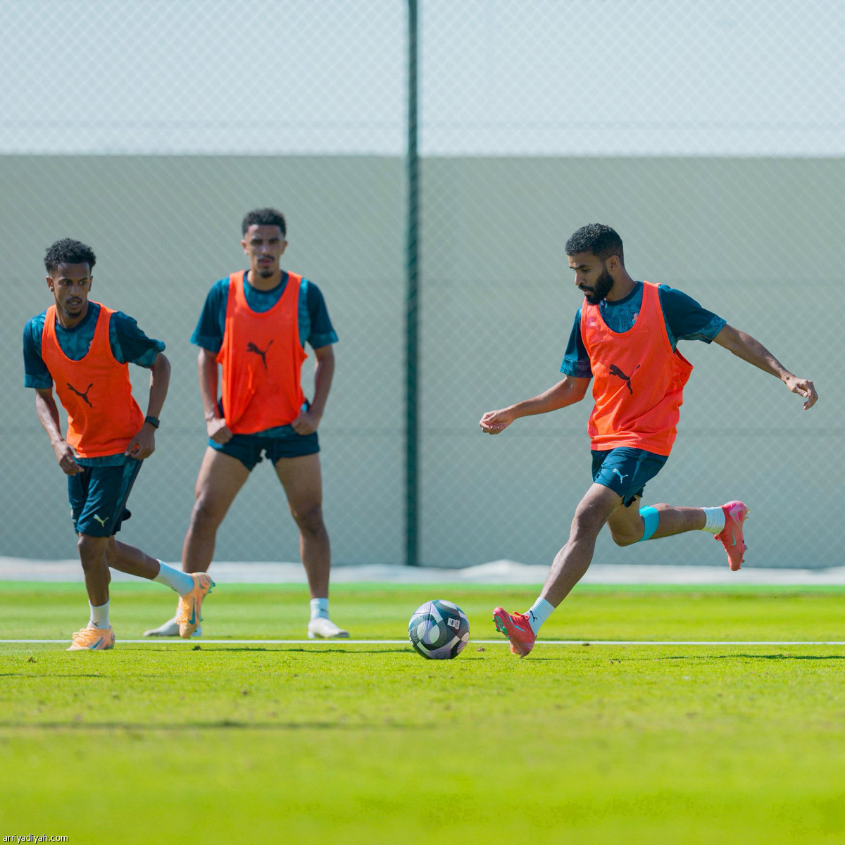 اللمسات الأخيرة