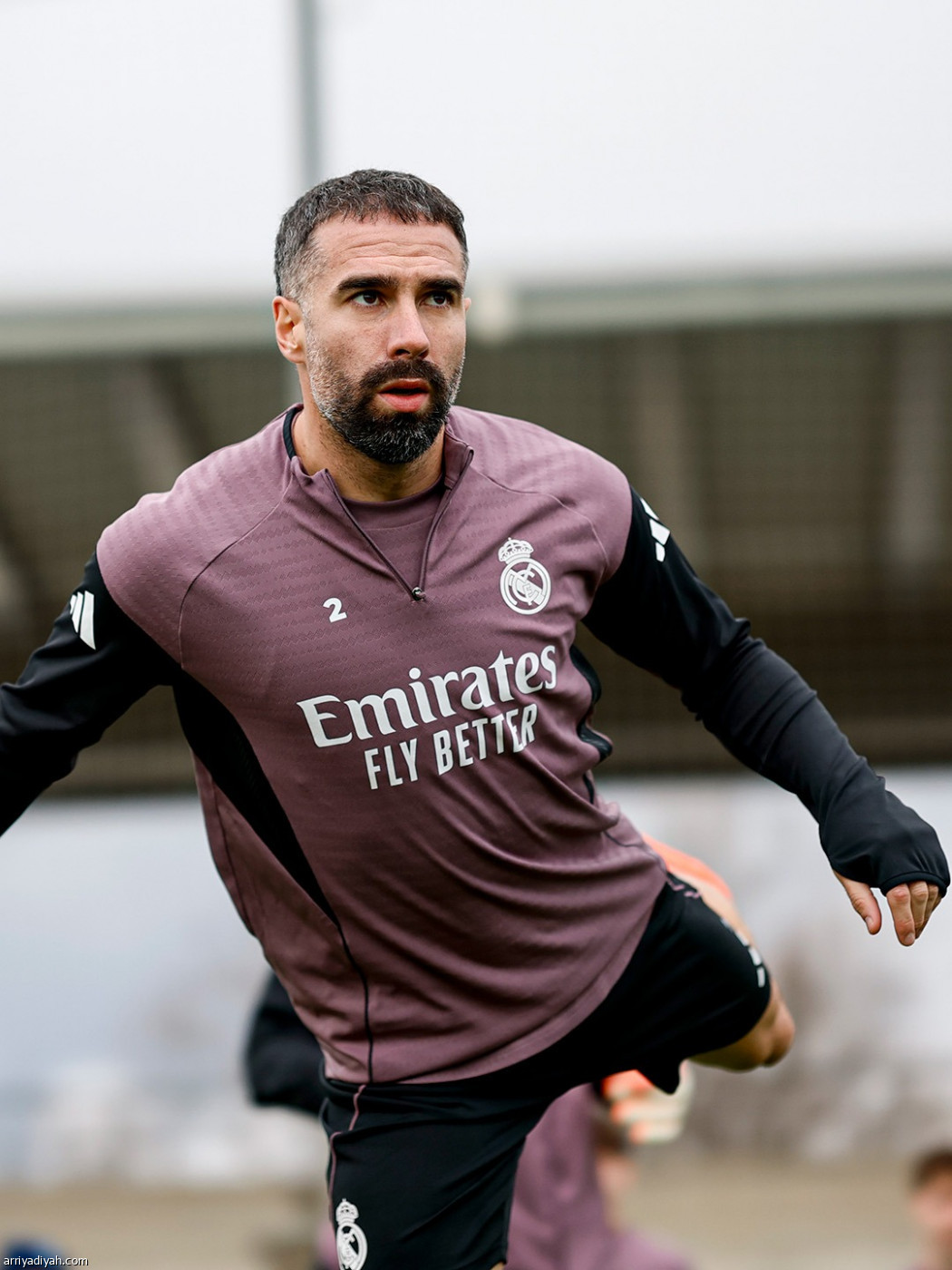 استعداد أخير