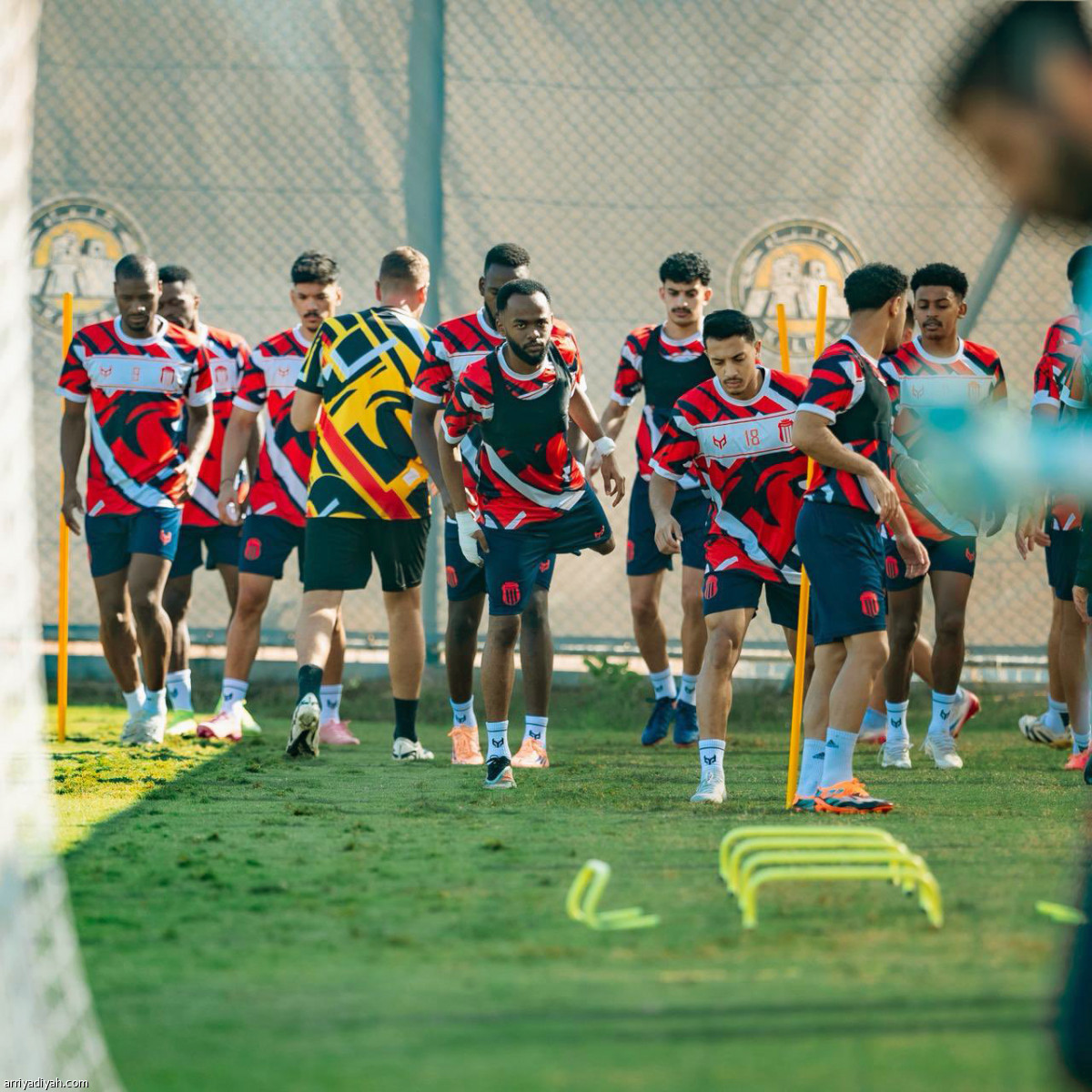 كارينيو يناور