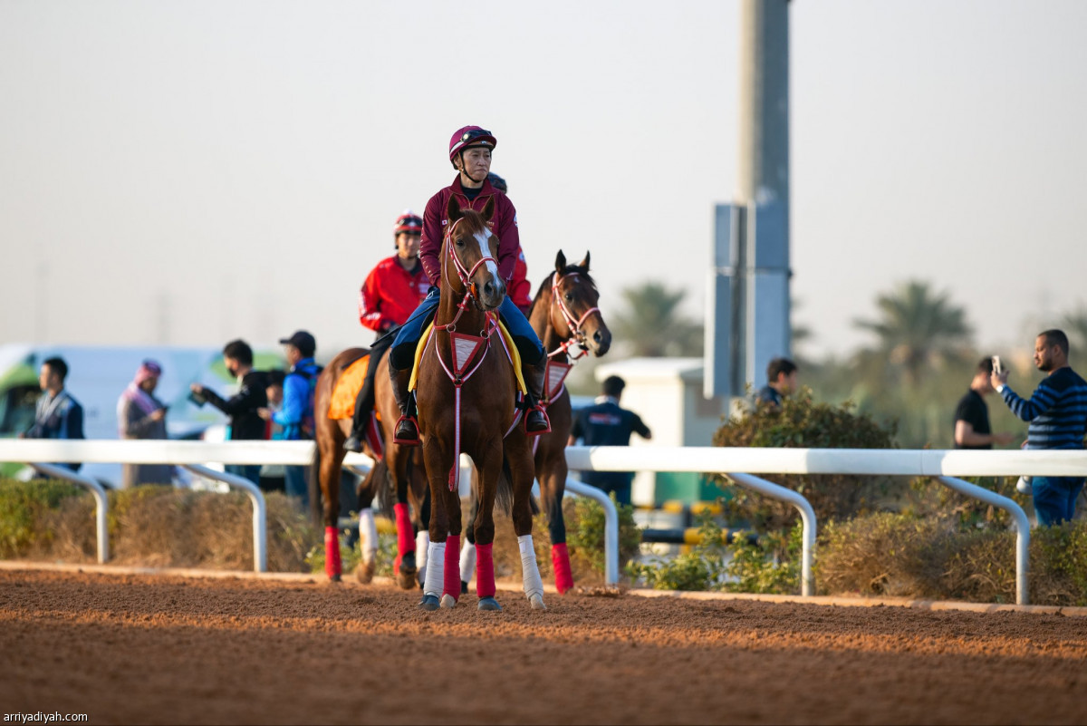 تدريبات مستمرة