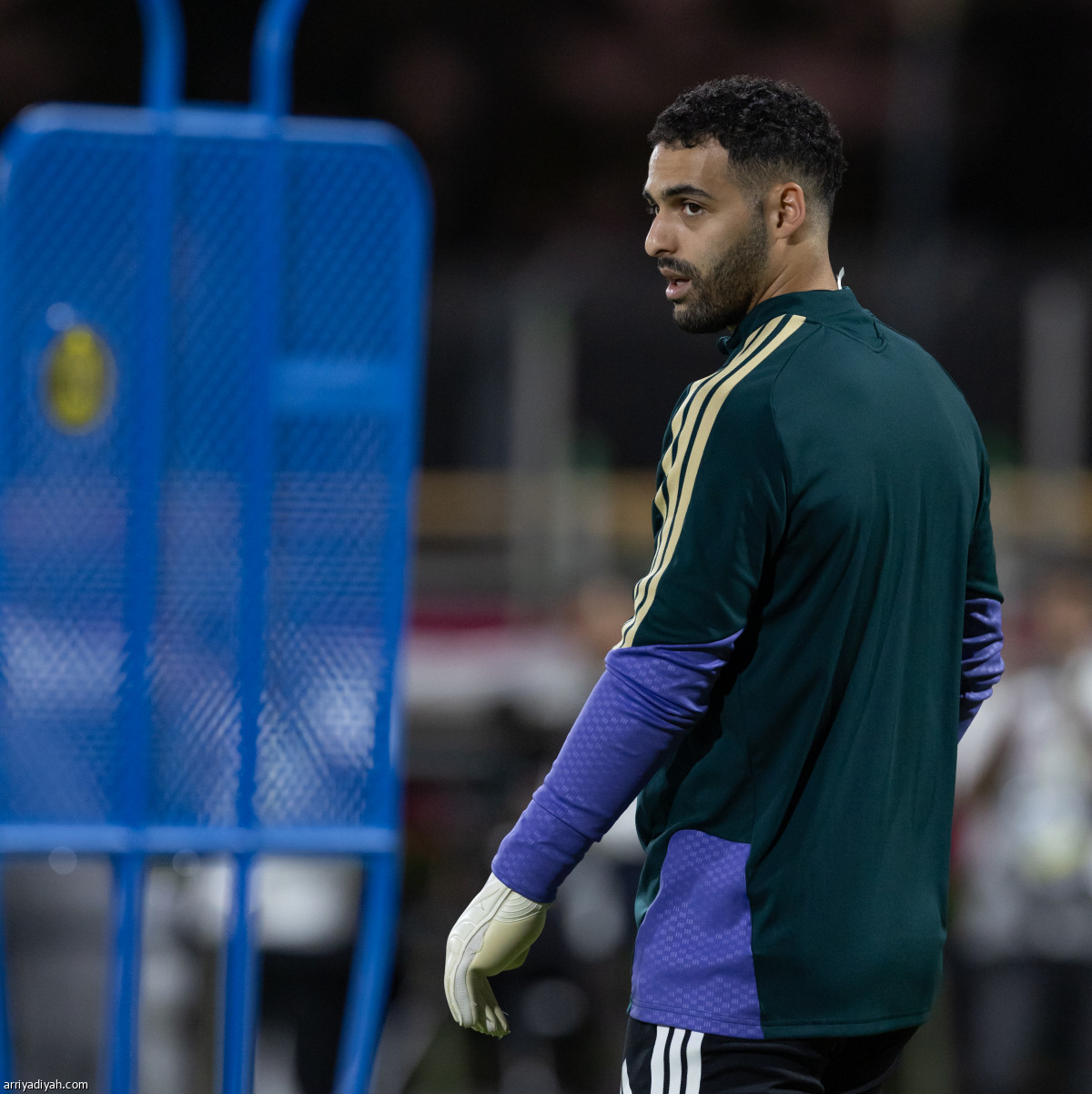 الأخضر يستعد