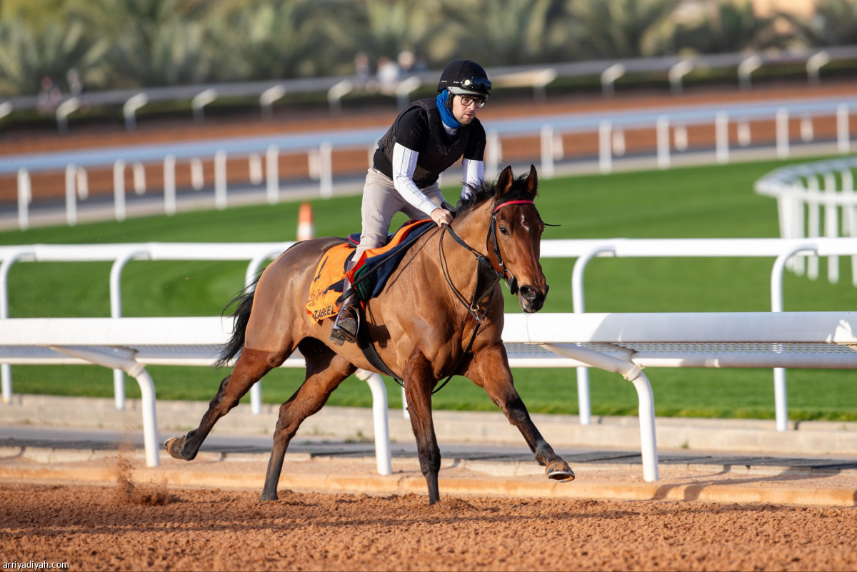 تدريبات مستمرة